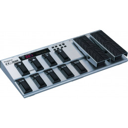 ROLAND FC-300