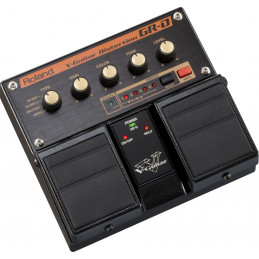 ROLAND GR-D V-GUITAR