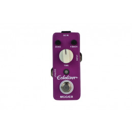 MOOER ECHOLIZER