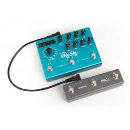 STRYMON MULTISWITCH