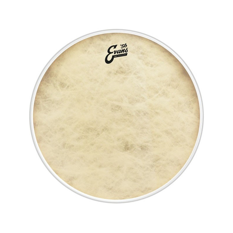EVANS BD20GB4CT - EQ4 CLAFTONE PELLE CASSA 20"