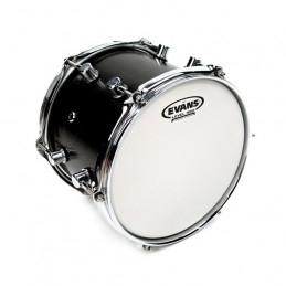 EVANS B12G1 GENERA G1 PELLE TOM SABBIATA 12"