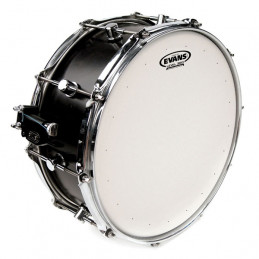 EVANS B14DRY PELLE PER RULLANTE SABBIATA GENERA DRY 14"