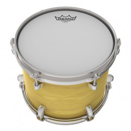 REMO BA-0108-00 AMBASSADOR SABBIATA 8"