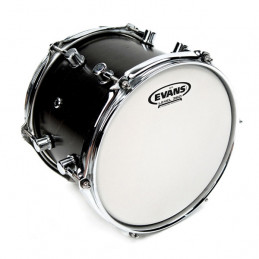 EVANS B13G14 G14 PELLE TOM SABBIATA 13"