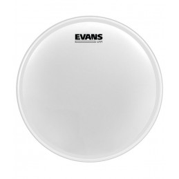 EVANS BD24UV1 PELLE CASSA 24" COATED