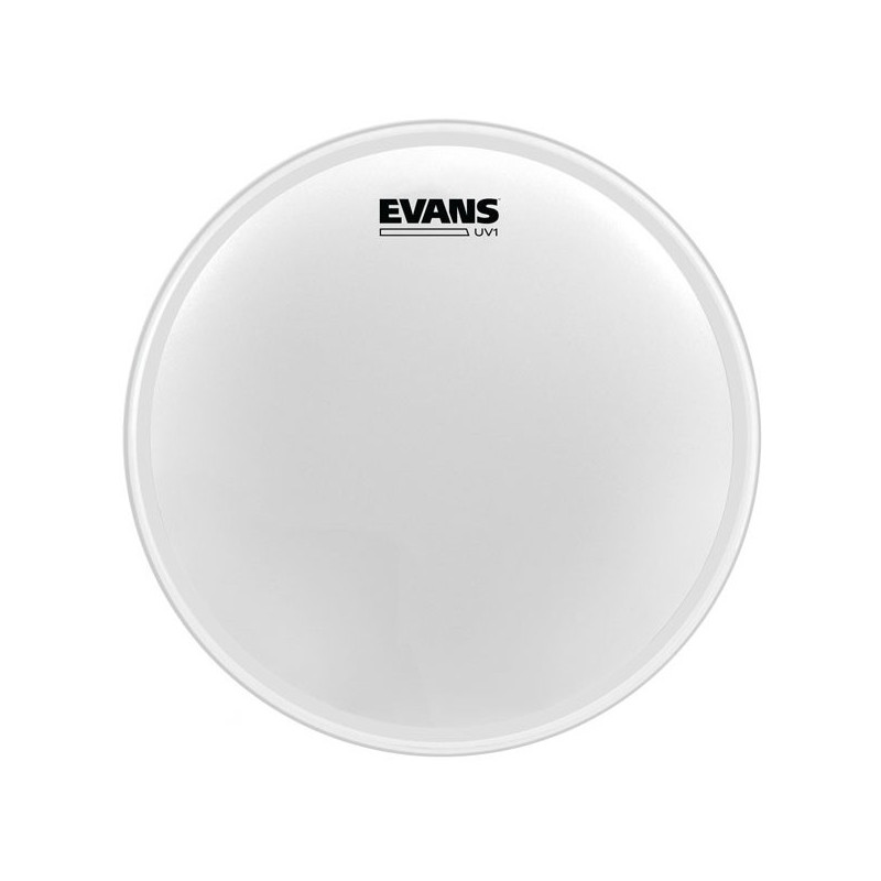 EVANS BD24UV1 PELLE CASSA 24" COATED