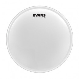 EVANS B10UV1 UV1 PELLE TOM SABBIATA 10"