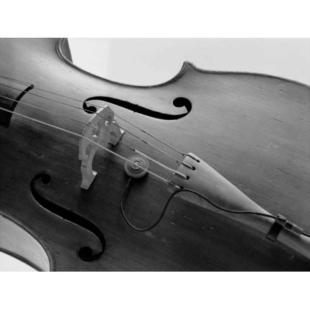 SCHERTLER DYN-C-SET - B-STOCK