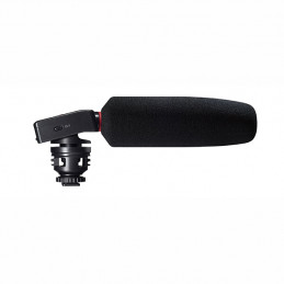 TASCAM DR10SG REGISTRATORE PCM E MICROFONO