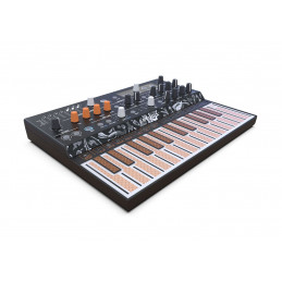 ARTURIA  MICROFREAK SINTH PARAFONICO, 25 TASTI