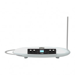 MOOG THEREMINI 32 SUONI CON ALTOPARLANTE INTEGRATO