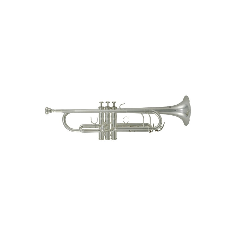 ROY BENSON TR 302S