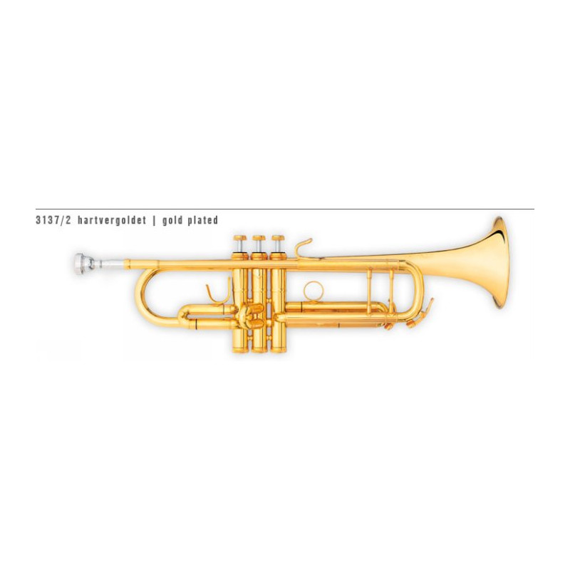 B & S 3137 STAU