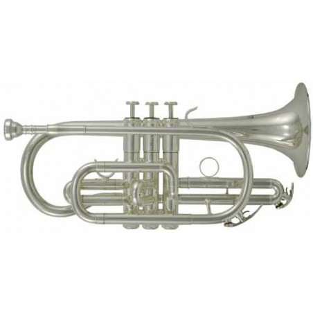 SOLMER CR 202S