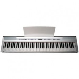 ECHORD SP10 BIANCO