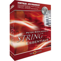 BEST SERVICE STRING ESSENTIALS