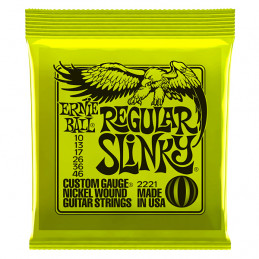 ERNIE BALL 2221 MUTA CORDE CHITARRA ELETTRICA NICKEL WOUND REGULAR