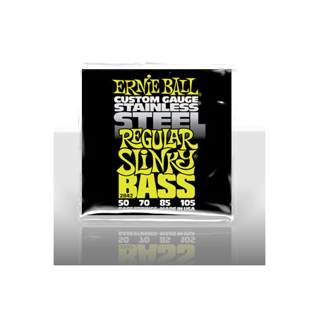 ERNIE BALL 2842