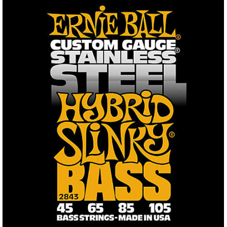 ERNIE BALL 2843
