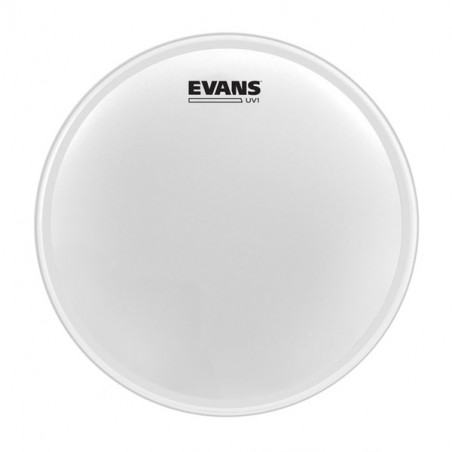 EVANS B12UV1 UV1 PELLE TOM SABBIATA 12"