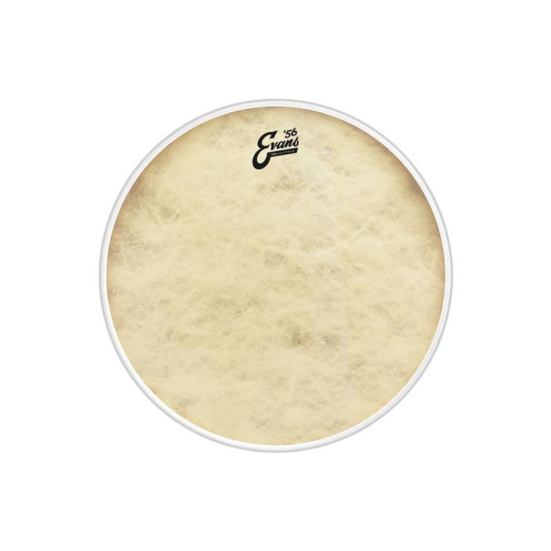 EVANS BD22GB4CT EQ4 PELLE GRANCASSA 22" CALFTONE
