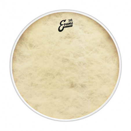 EVANS BD22GB4CT EQ4 PELLE GRANCASSA 22" CALFTONE