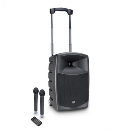 LD SYSTEMS ROADBUDDY 10 HHD2 BATTERY - BLUETOOTH - 2 WIRELESS MICROPHONE