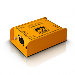 PALMER DACCAPO RE-AMPLIFICATION BOX