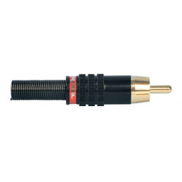 PROEL G-254/BK-RD SPINA RCA NERA-ROSSA