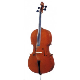 ROLING'S HDC-01 VIOLONCELLO 1/2