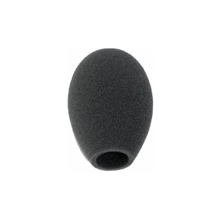 SCHOEPS B5 WINDSCREEN