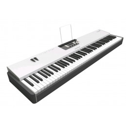 STUDIO LOGIC ACUNA 88