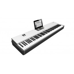 STUDIO LOGIC ACUNA 88