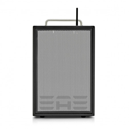 ELITE ACOUSTICS A4-8-CFB COMBO PER CHITARRA ACUSTICA