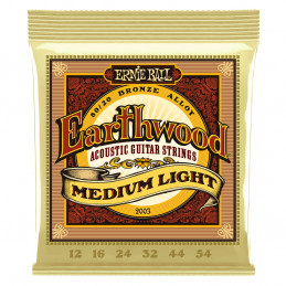 ERNIE BALL 2003 80/20...