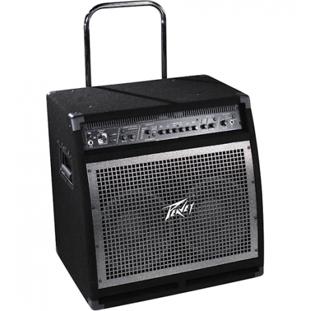 PEAVEY BAM 210C BASS COMBO