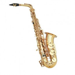 CIGALINI ASSM  SAX ALTO...