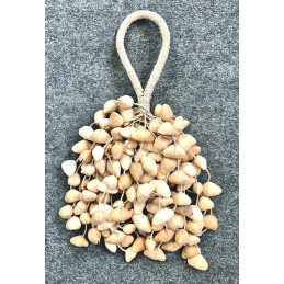 OYSTER SHAKER CANAR MARACAS...