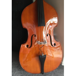 DVORAK CONTRABBASSO 3/4...