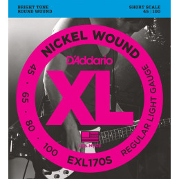 D'ADDARIO EXL170S 45/100...