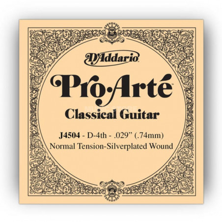 D'ADDARIO J4506 CORDA NYLON MI Basso (E6)