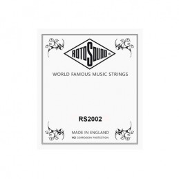 RS2002 ORCHESTRAL...