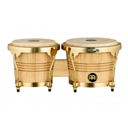 WB200NT-G