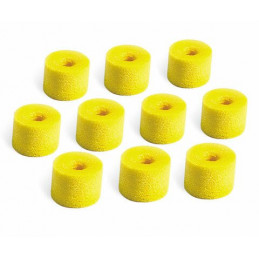 SHURE EAYLF1-10 INSERTI...