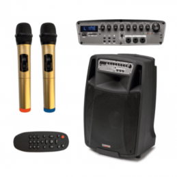 AUDIODESIGN M2 15W/L COMBI HANDELD WIRELESS