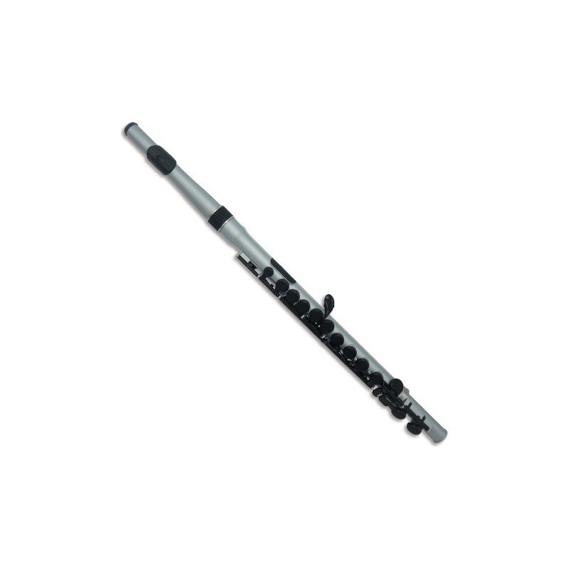 STUDENT FLUTE - SILVER/BLACK