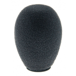 SCHOEPS B5D WINDCREEN