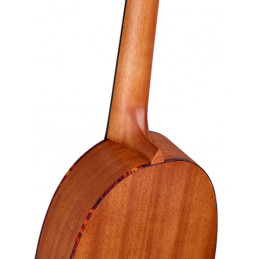 RUPA5