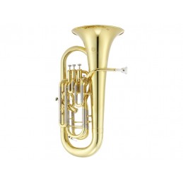 JEP1020